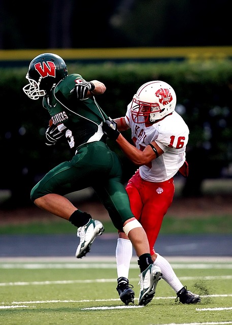 圈的公信力 圈的公信力