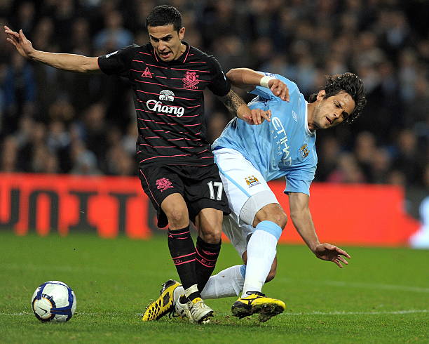 增添了丰富 增添了丰富