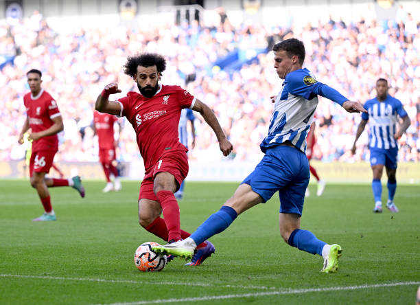 这一回应不 这一回应不